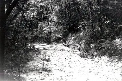 Stan Kulikowski; bike trip camping Friends WSU